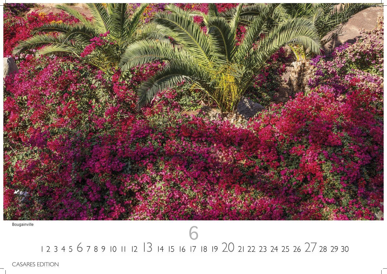 Beispielinhalt (Bild) Gran Canaria Kalender 2027 - Wandkalender | Fotokalender Spanien 50x35 cm - Premium . dieser bezaubernden Insel