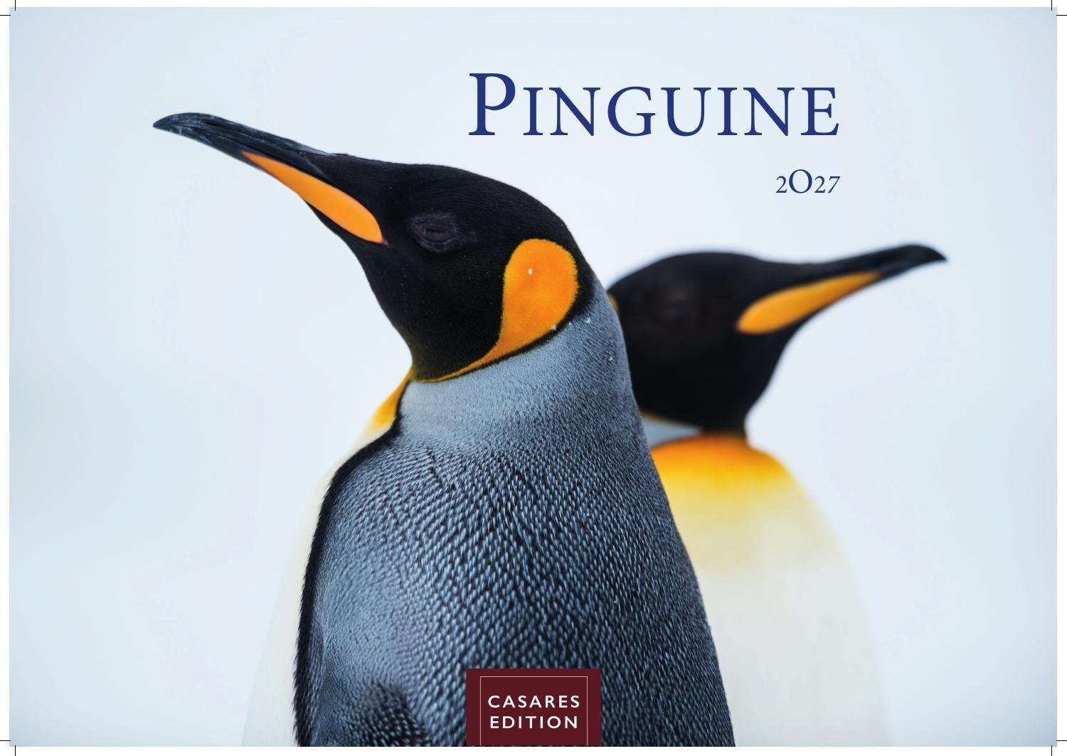 Vorderes Coverbild Pinguine Kalender 2027 - Wandkalender | Fotokalender Tierkalender 35x50cm Grosses Format | . mit niedlichen Pinguin-Motiven im antarktischen Lebensraum.