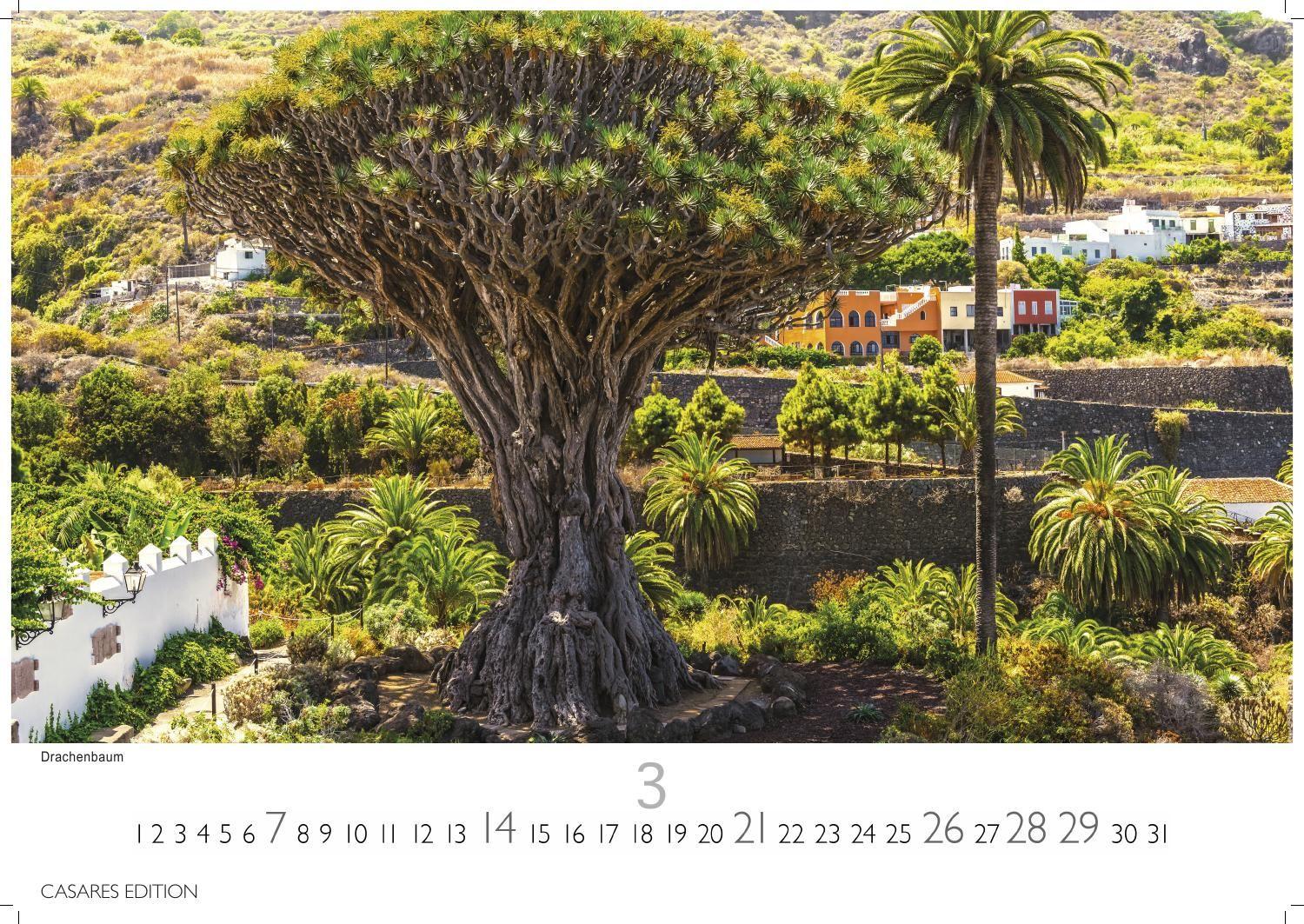 Beispielinhalt (Bild) Teneriffa Kalender 2027 - Wandkalender | Fotokalender Spanien 35x50cm - . mit atemberaubenden Fotos von Teneriffa, Natur, Stränden & Sehenswürdigkeiten | Perfekt für Fans der Kanarischen Insel.