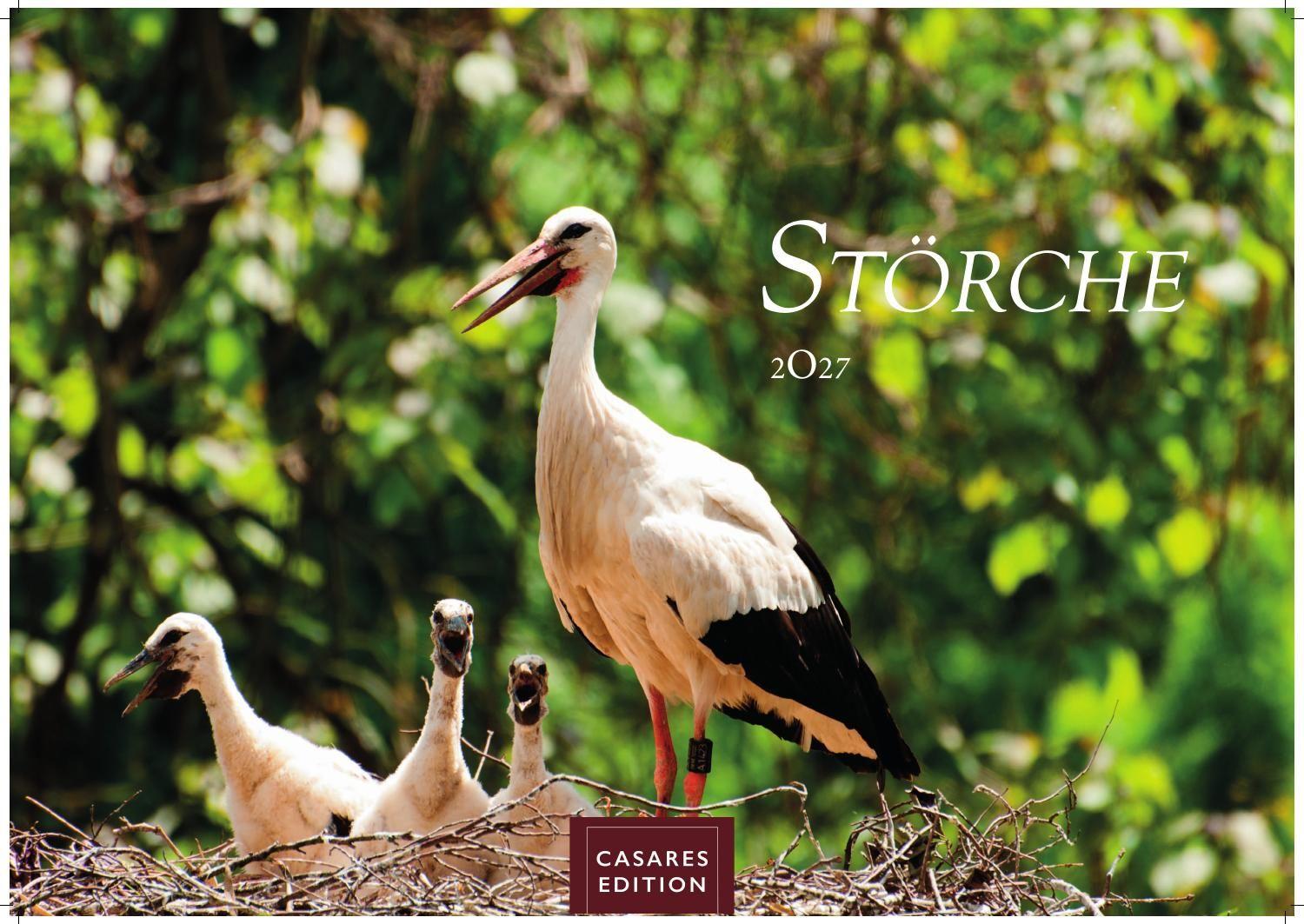 Vorderes Coverbild Störche Kalender 2027 - Wandkalender | Fotokalender Tierkalender 24x35cm - Inspirierende Storch-Motive für Natur- und Tierkalenderliebhaber.