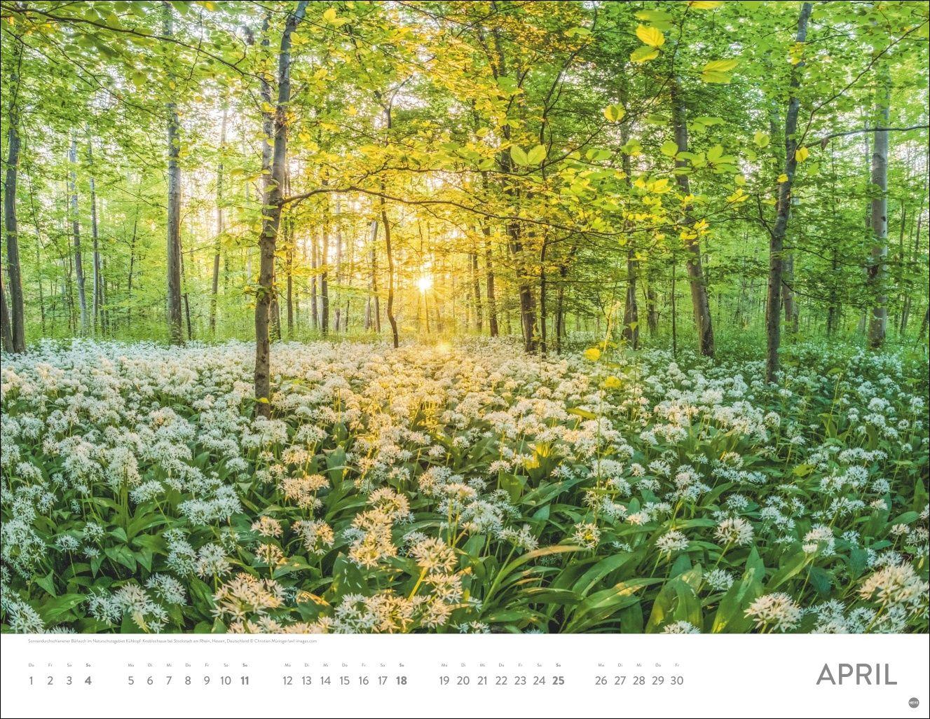 Beispielinhalt (Bild) Sonnenzauber Posterkalender 2027