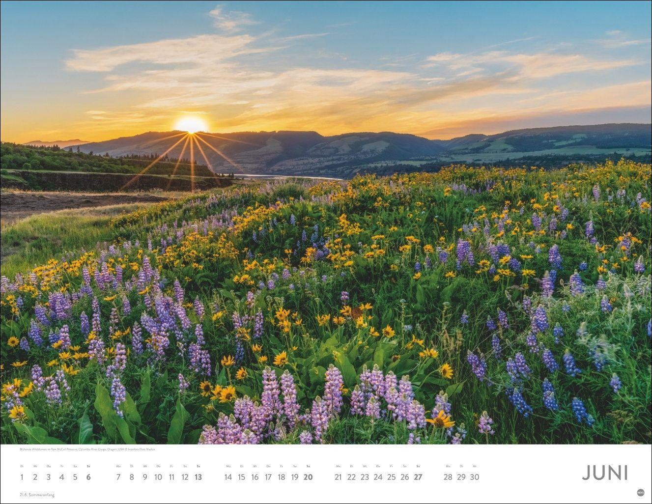 Beispielinhalt (Bild) Sonnenzauber Posterkalender 2027