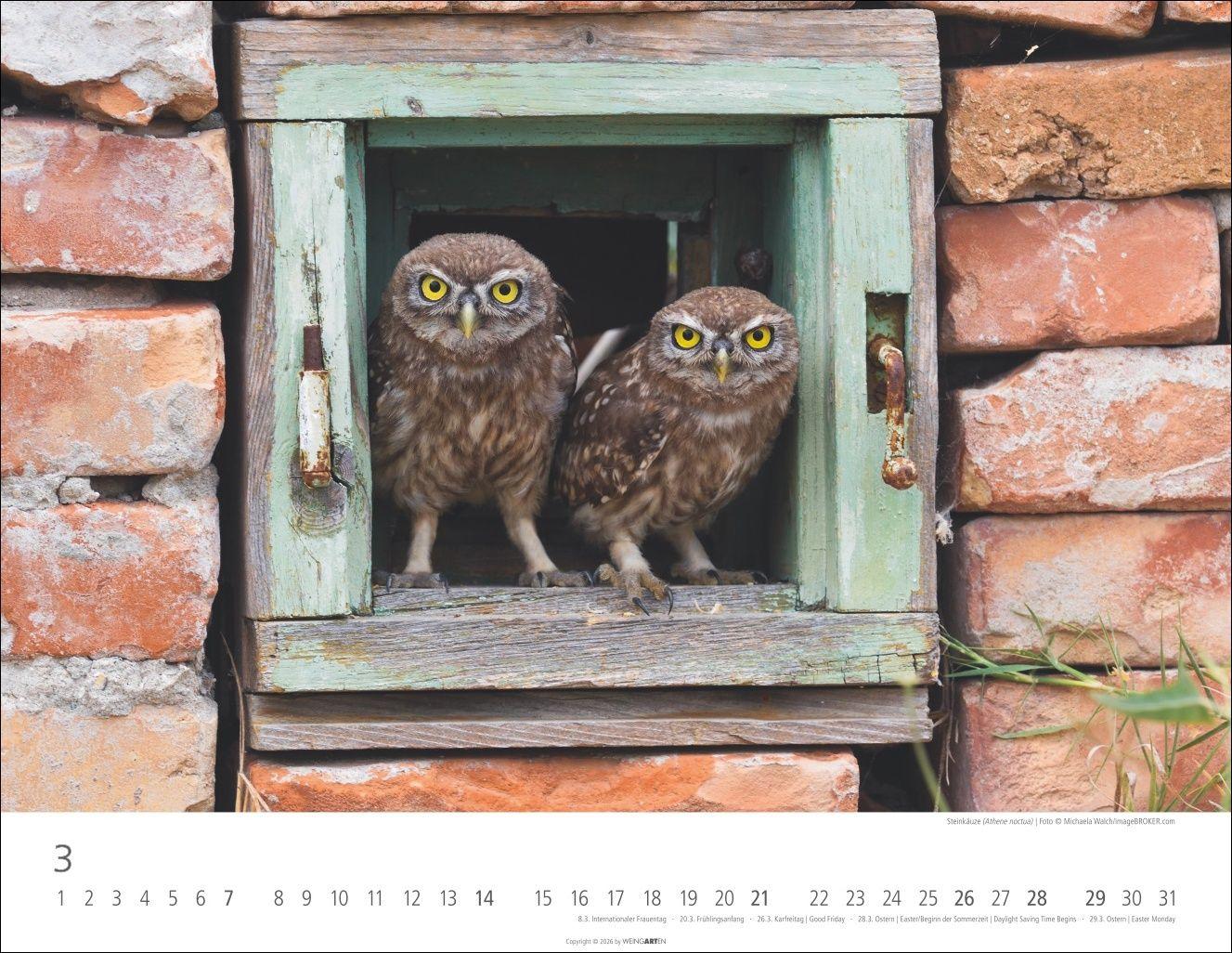 Beispielinhalt (Bild) Eulen Kalender 2027