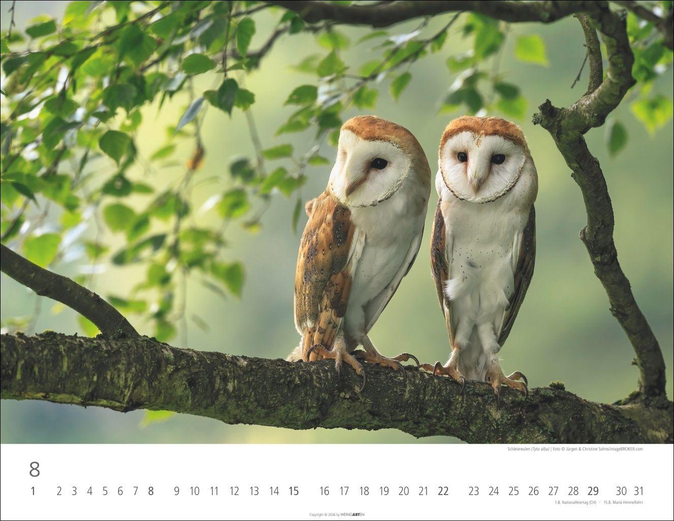 Beispielinhalt (Bild) Eulen Kalender 2027