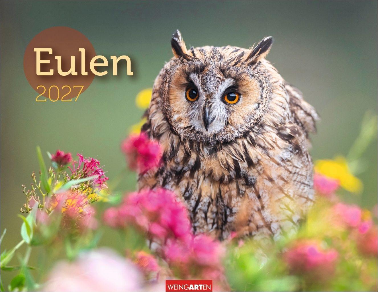 Vorderes Coverbild Eulen Kalender 2027