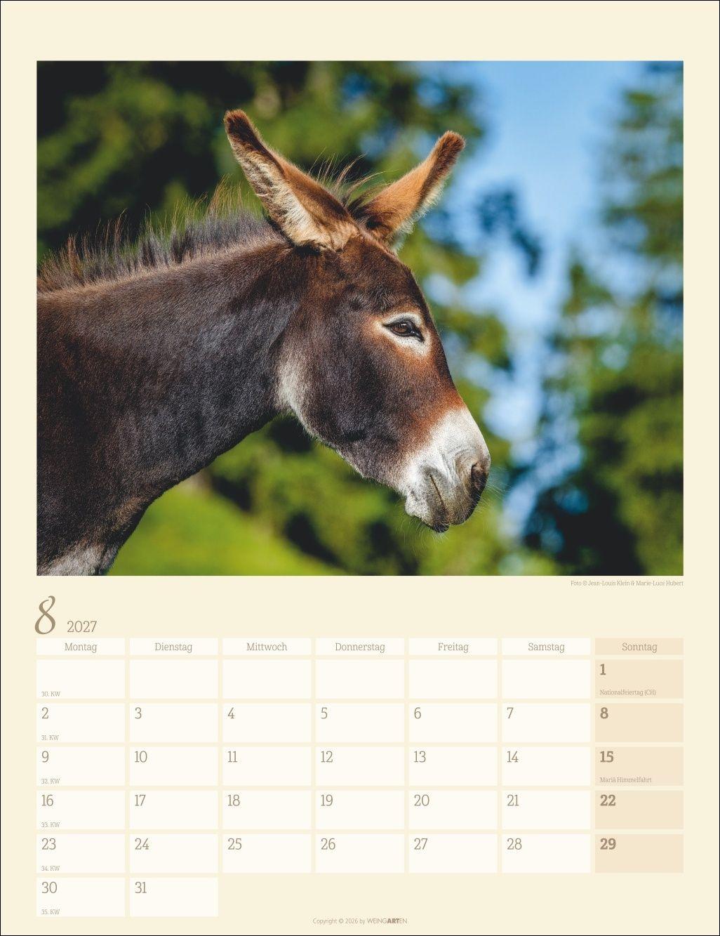 Beispielinhalt (Bild) Esel Kalender 2027