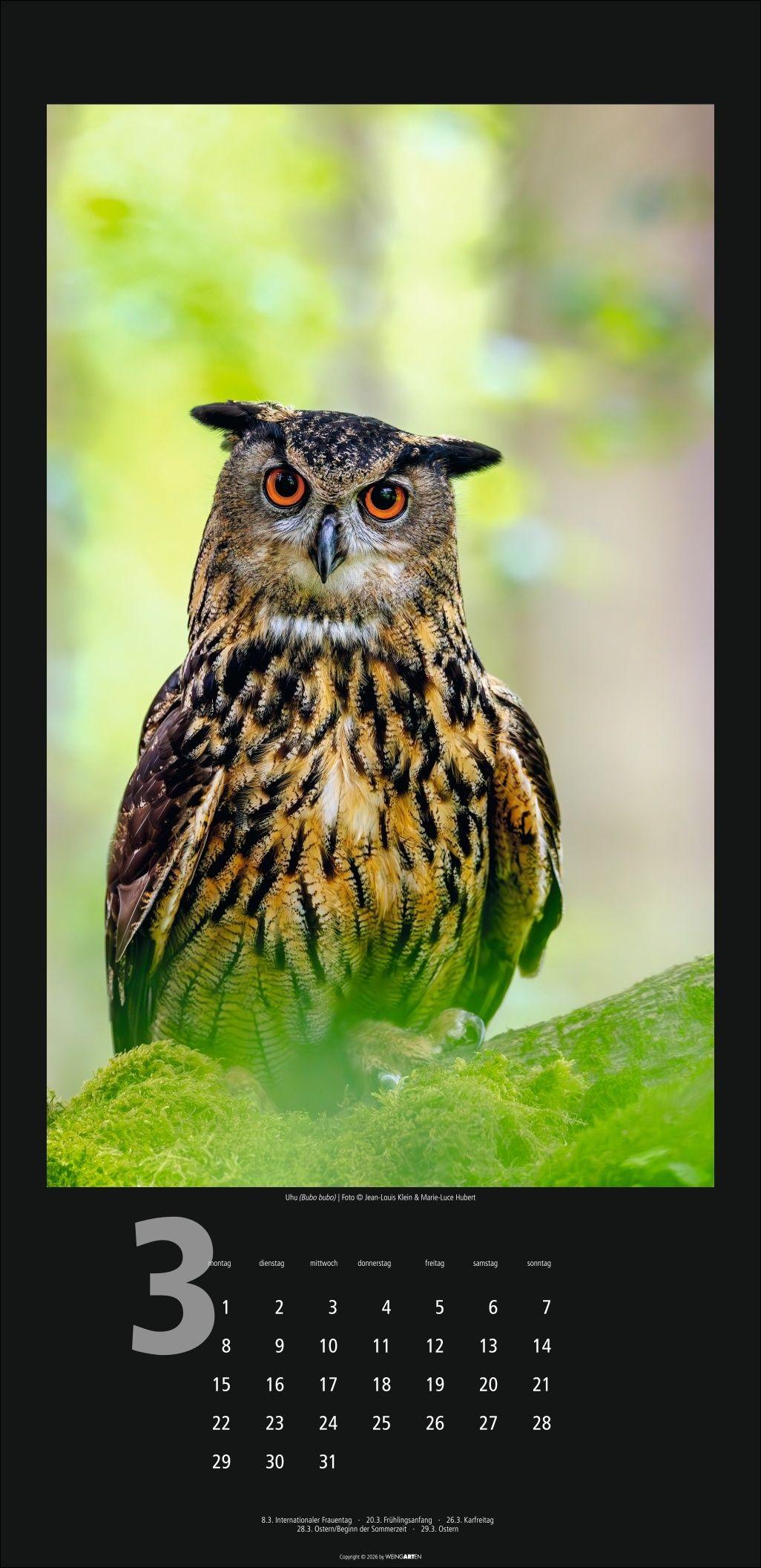Beispielinhalt (Bild) Eulen Kalender 2027