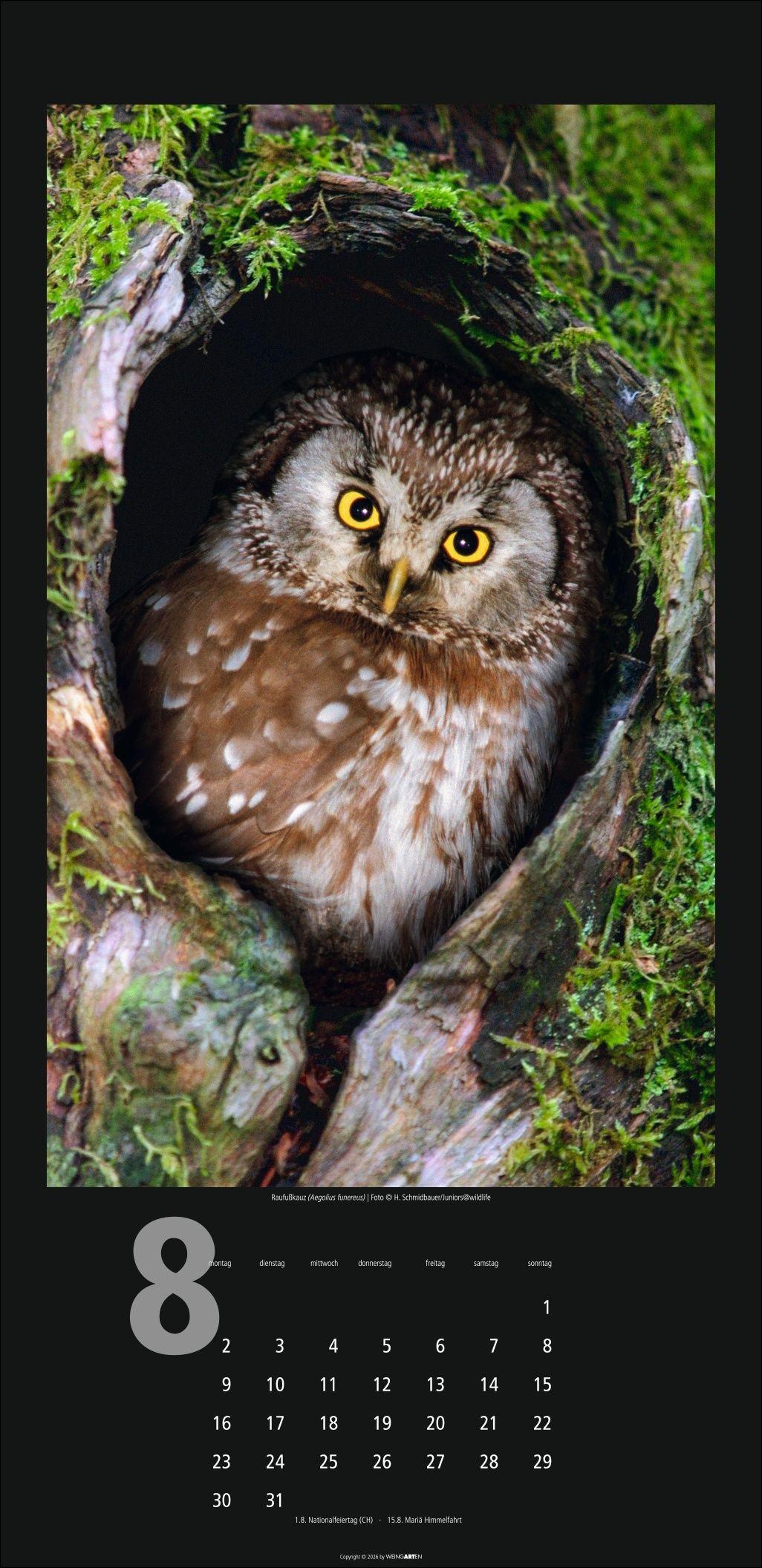 Beispielinhalt (Bild) Eulen Kalender 2027