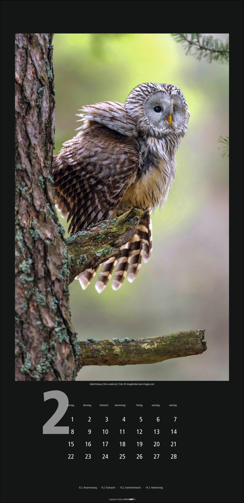 Beispielinhalt (Bild) Eulen Kalender 2027