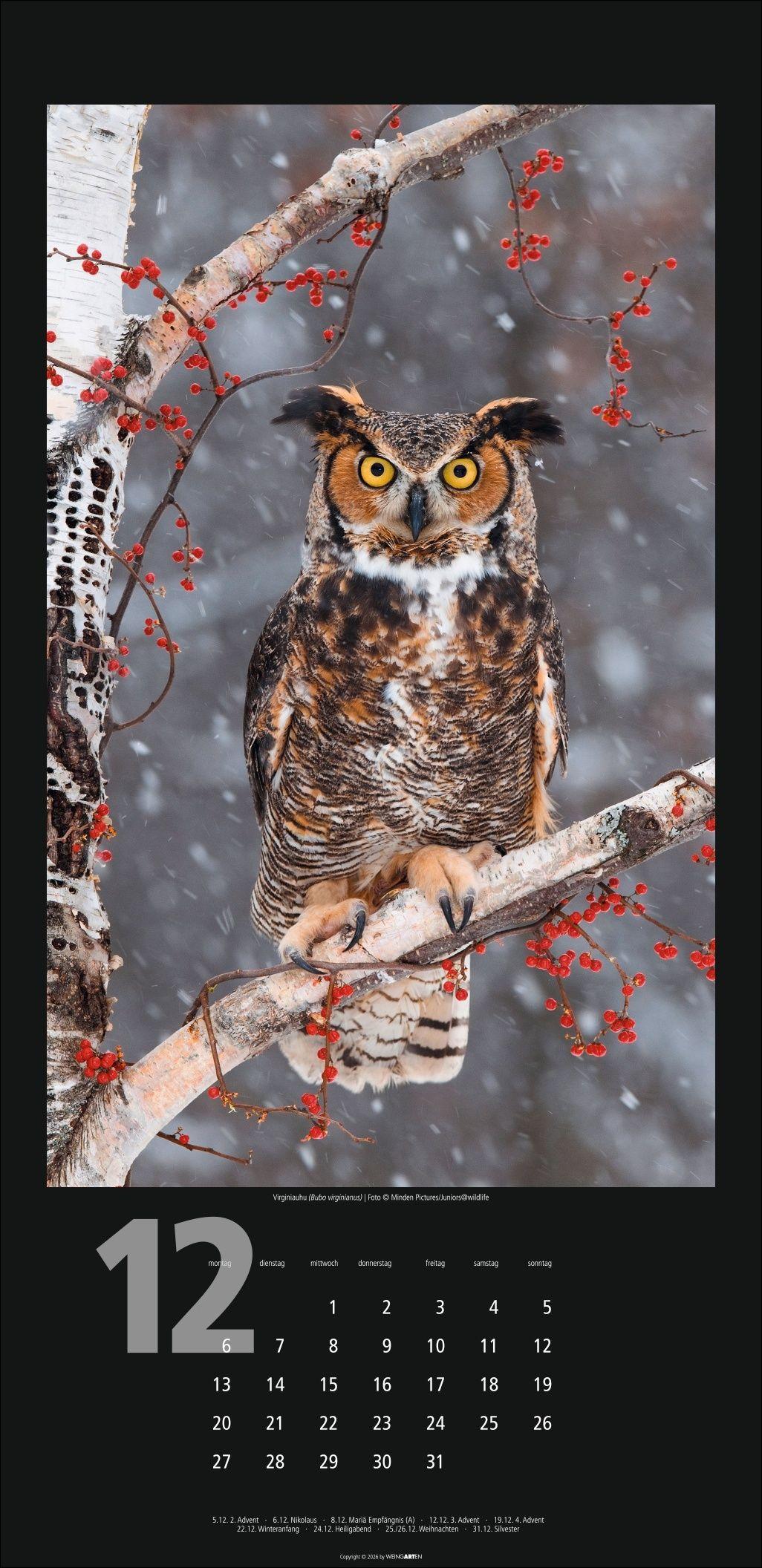 Beispielinhalt (Bild) Eulen Kalender 2027