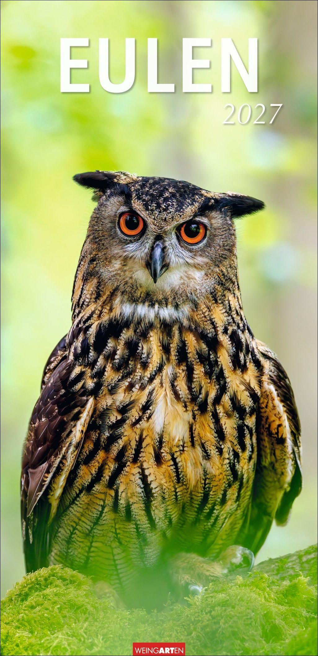 Vorderes Coverbild Eulen Kalender 2027