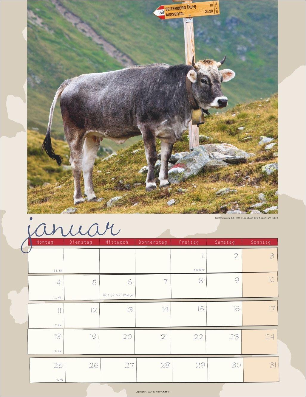 Beispielinhalt (Bild) Kuh Kalender 2027
