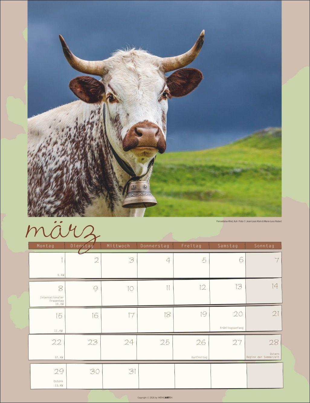 Beispielinhalt (Bild) Kuh Kalender 2027