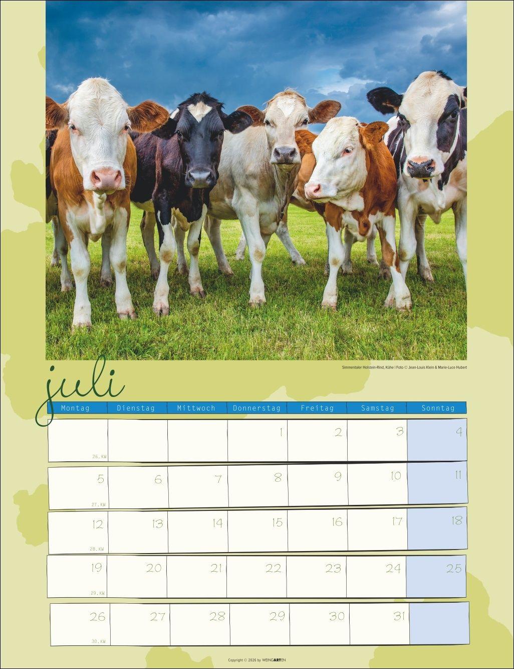 Beispielinhalt (Bild) Kuh Kalender 2027