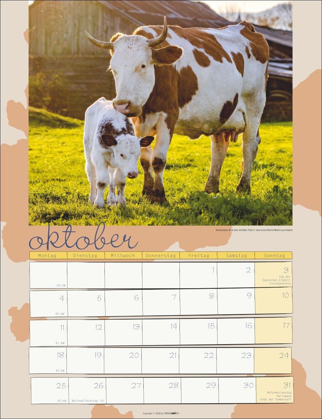 Beispielinhalt (Bild) Kuh Kalender 2027