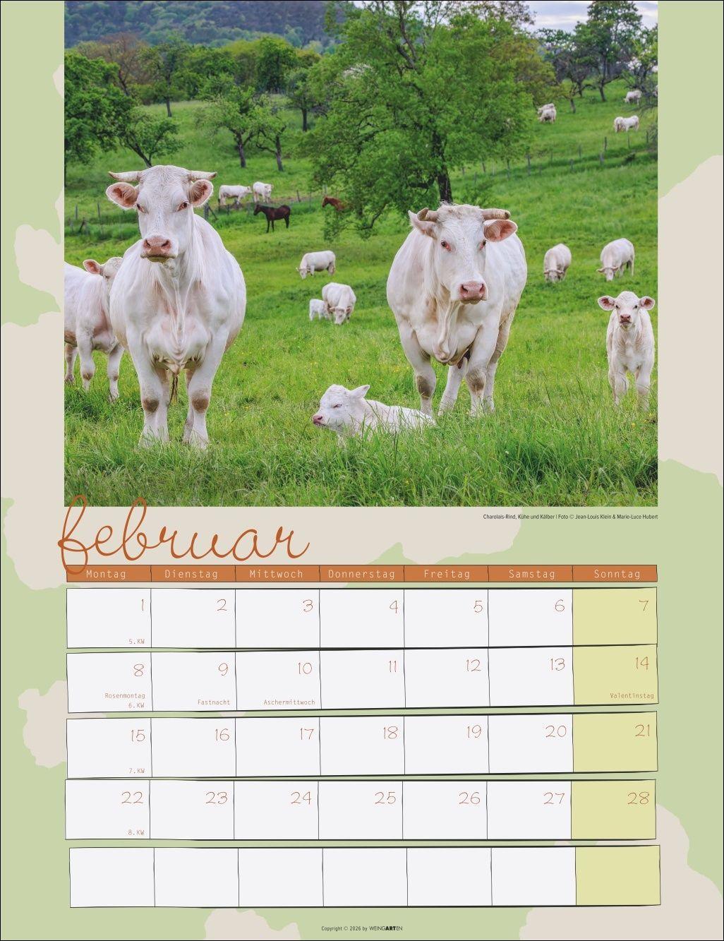 Beispielinhalt (Bild) Kuh Kalender 2027