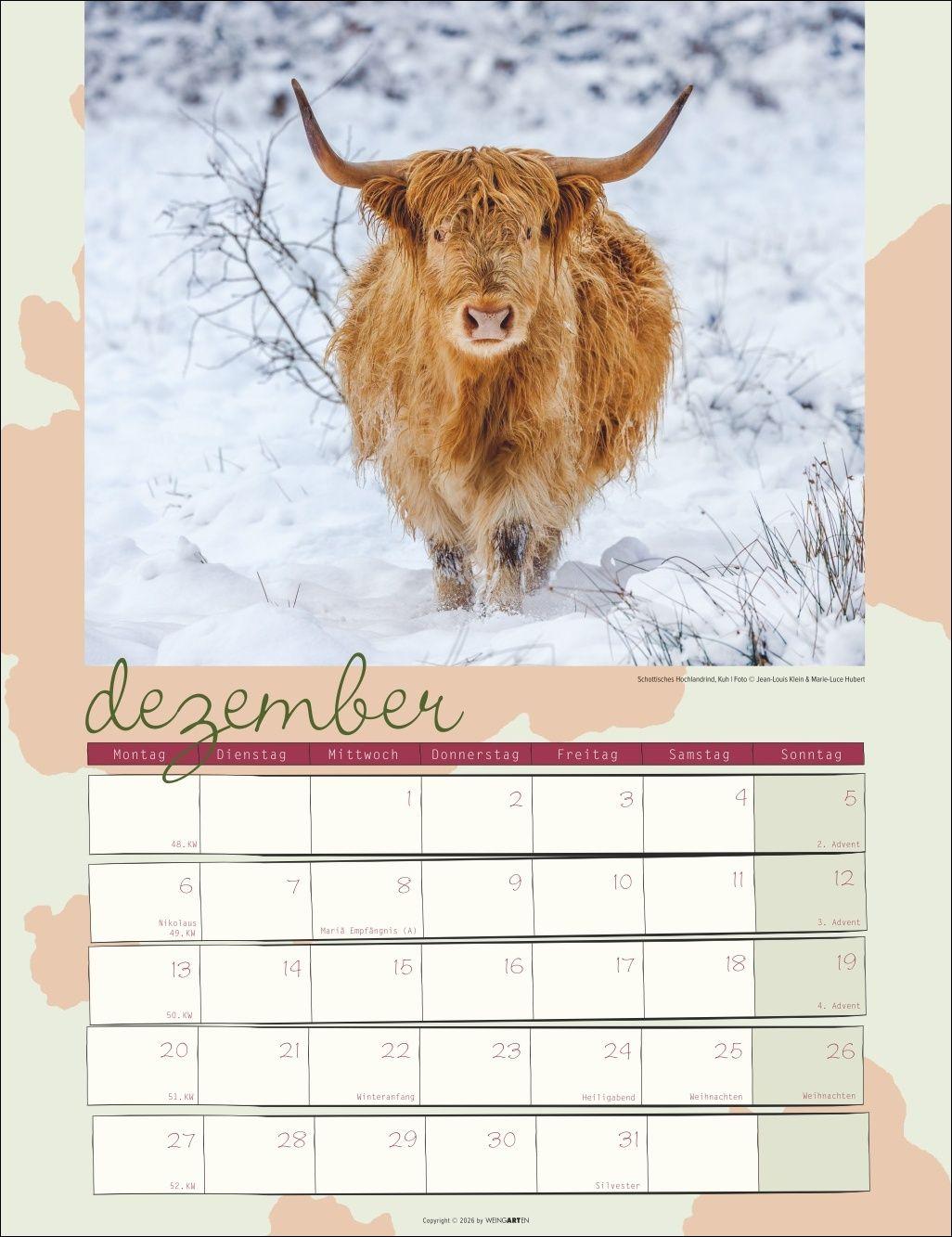 Beispielinhalt (Bild) Kuh Kalender 2027