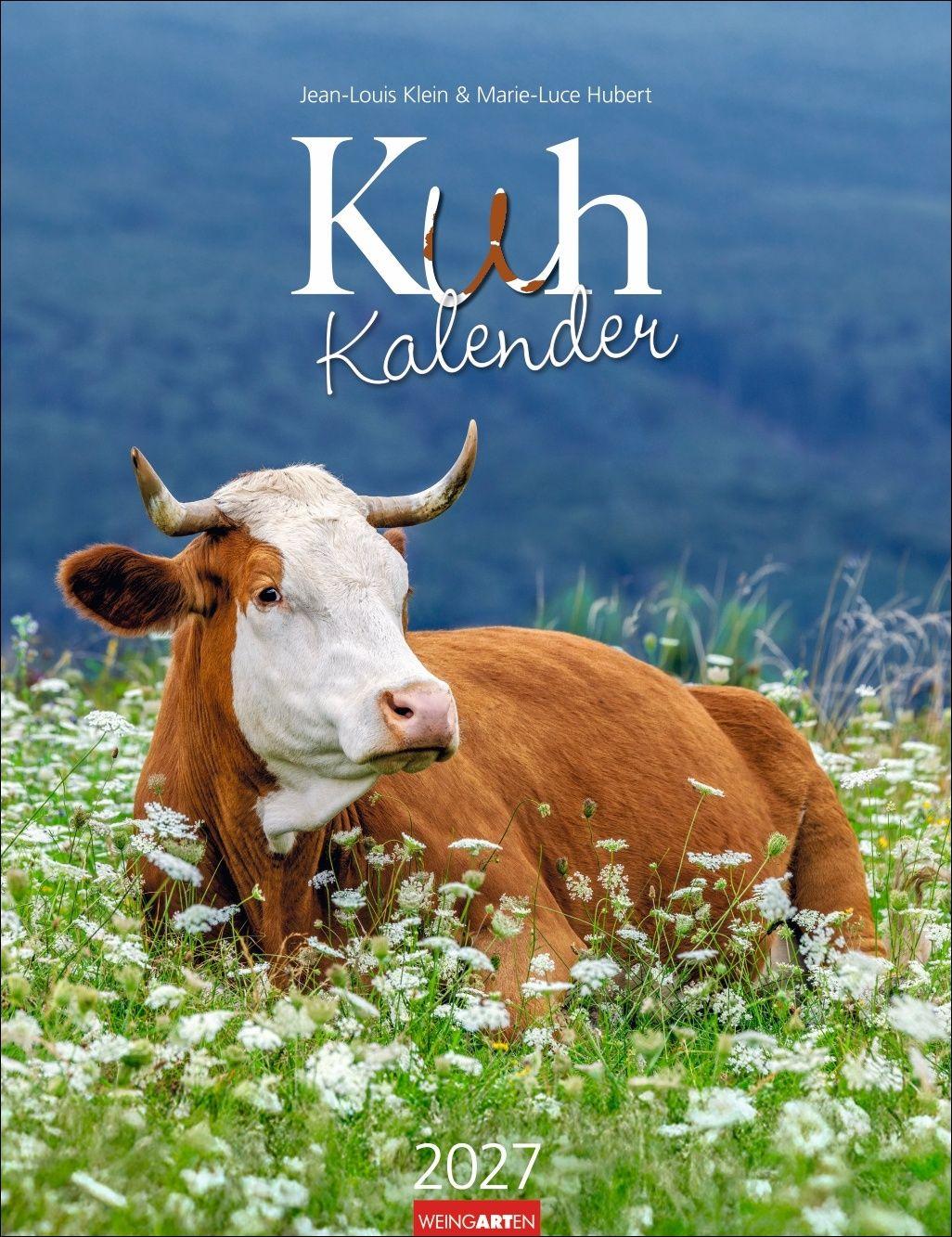 Vorderes Coverbild Kuh Kalender 2027