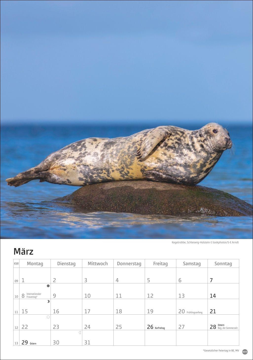 Beispielinhalt (Bild) Deutschlands Küsten Kalender 2027