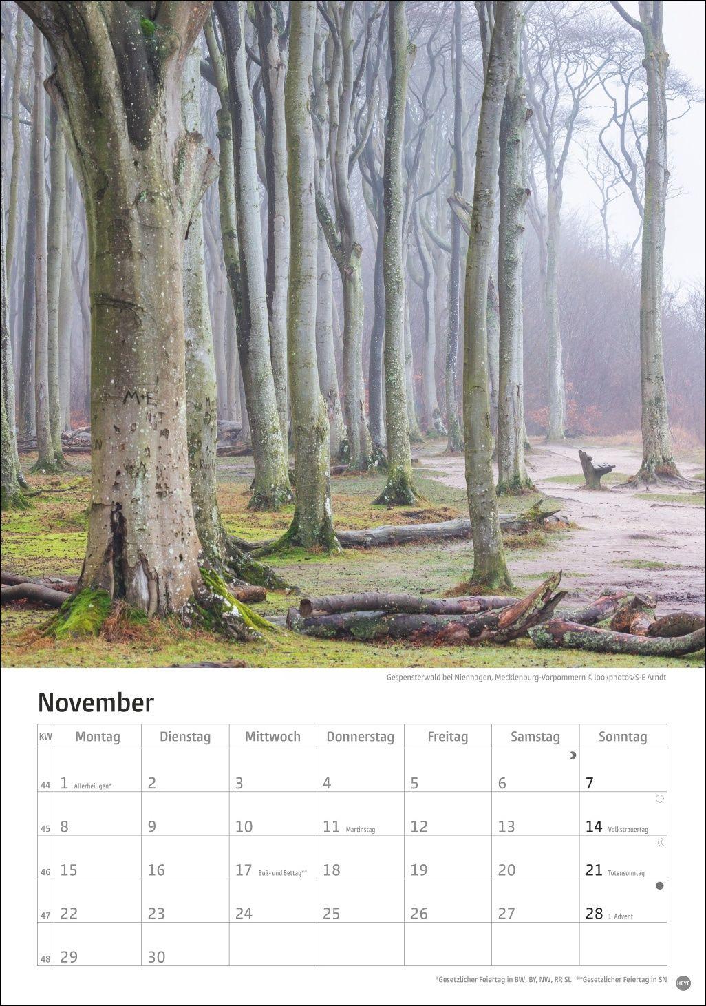 Beispielinhalt (Bild) Deutschlands Küsten Kalender 2027