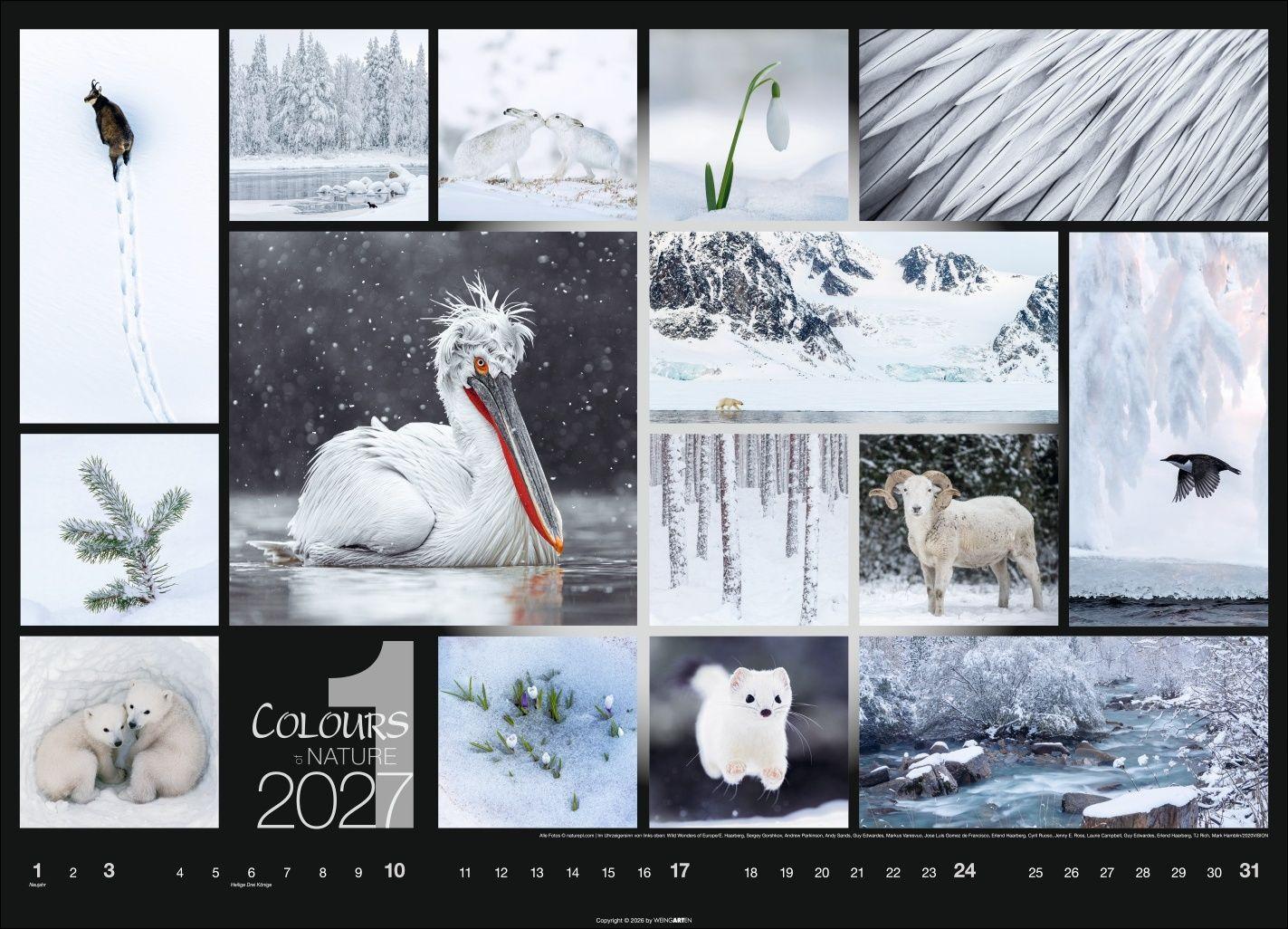 Beispielinhalt (Bild) Colours of Nature Kalender 2027