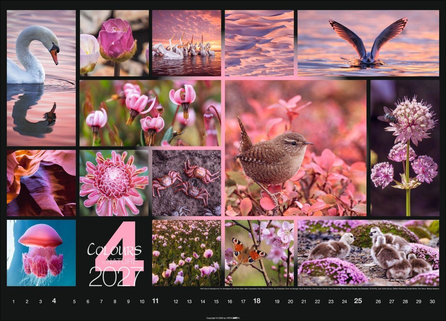 Beispielinhalt (Bild) Colours of Nature Kalender 2027