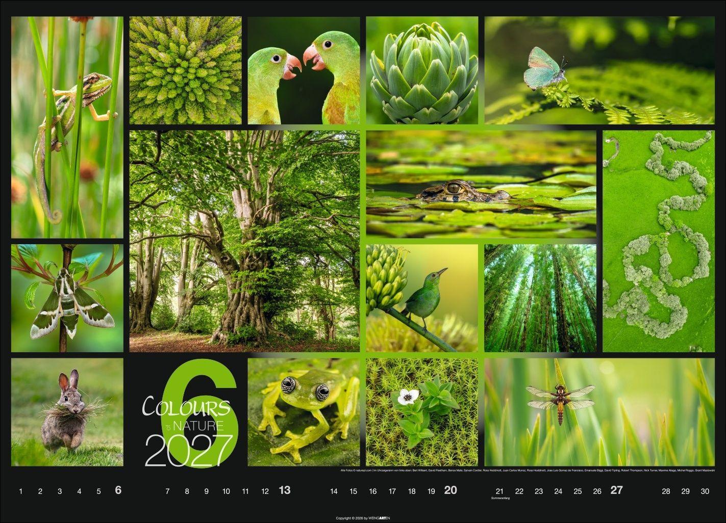 Beispielinhalt (Bild) Colours of Nature Kalender 2027