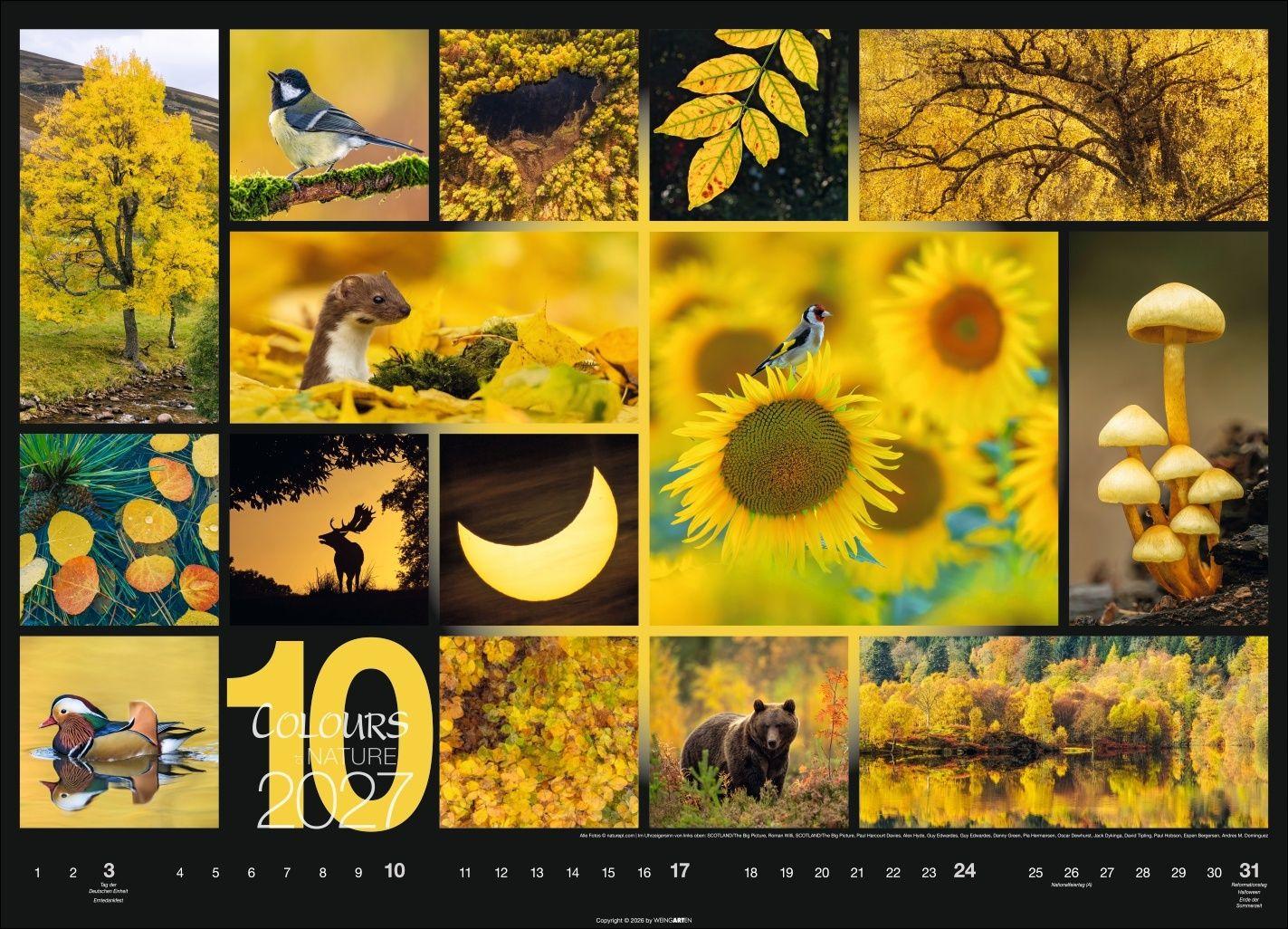 Beispielinhalt (Bild) Colours of Nature Kalender 2027