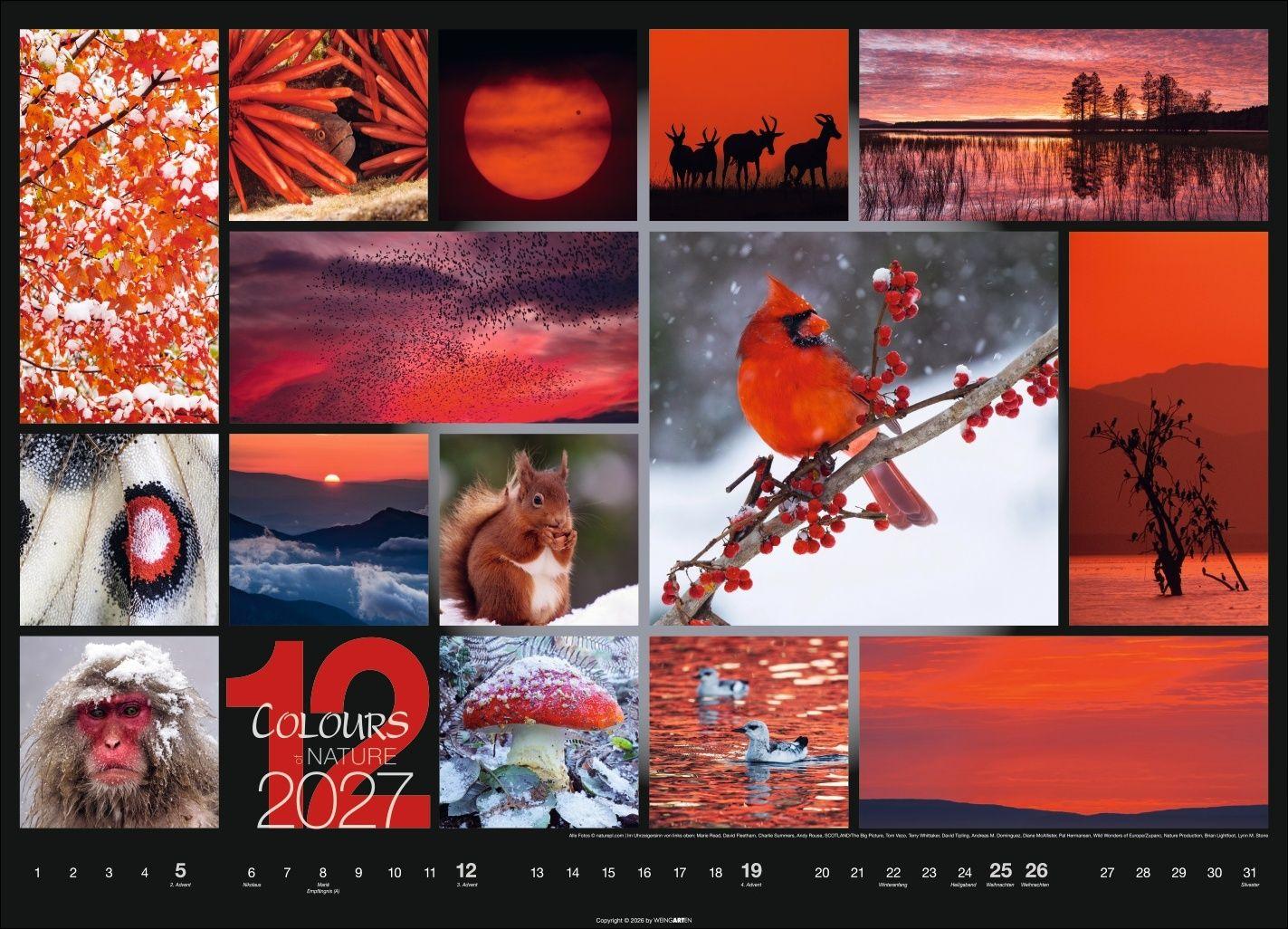 Beispielinhalt (Bild) Colours of Nature Kalender 2027