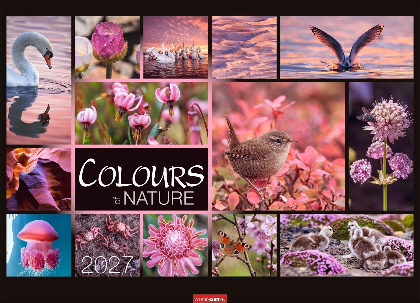Vorderes Coverbild Colours of Nature Kalender 2027