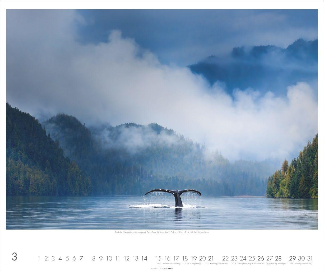 Beispielinhalt (Bild) Kanada Kalender 2027 - Der Ruf der Wildnis