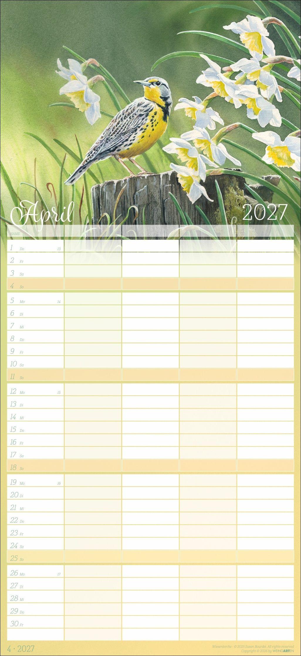 Beispielinhalt (Bild) Bunte Vogelwelt Familienplaner 2027