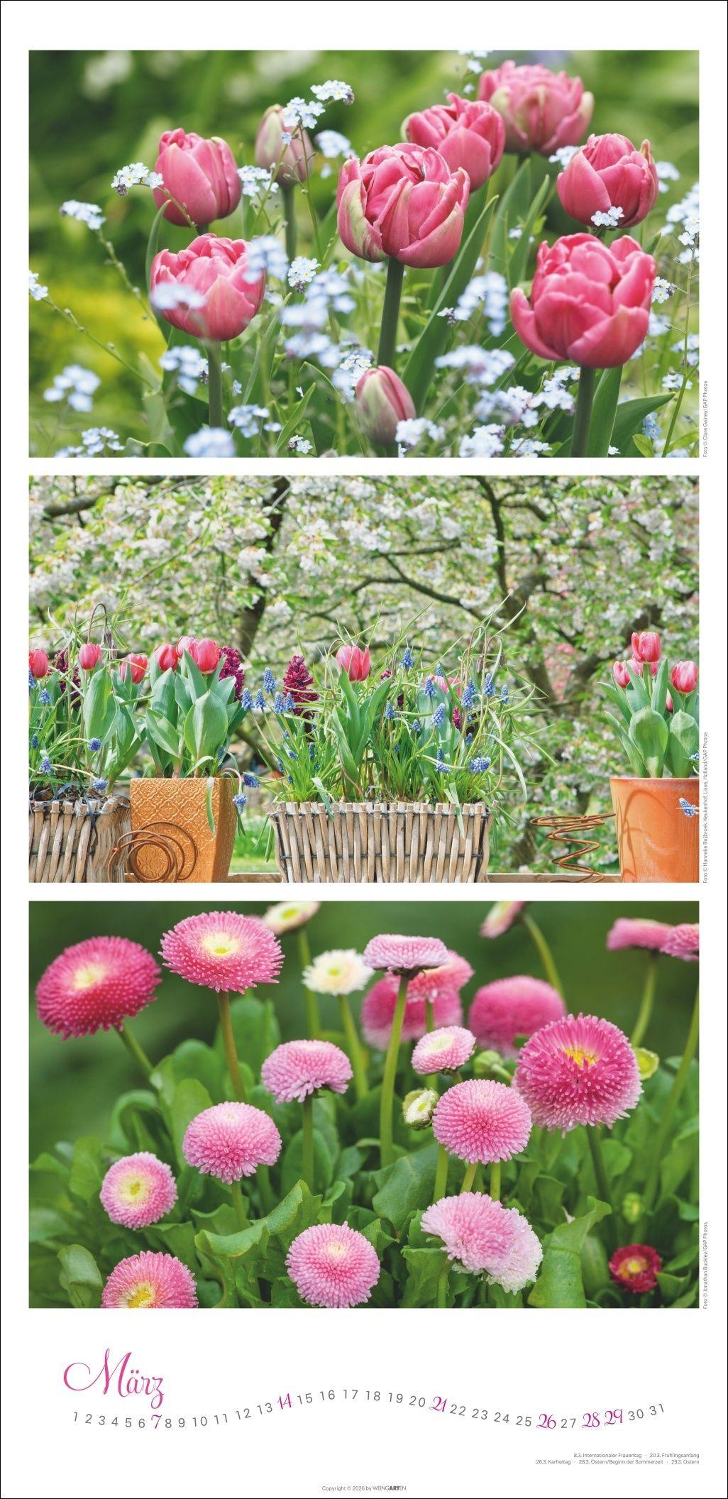 Beispielinhalt (Bild) Die Farben der Gärten Kalender 2027