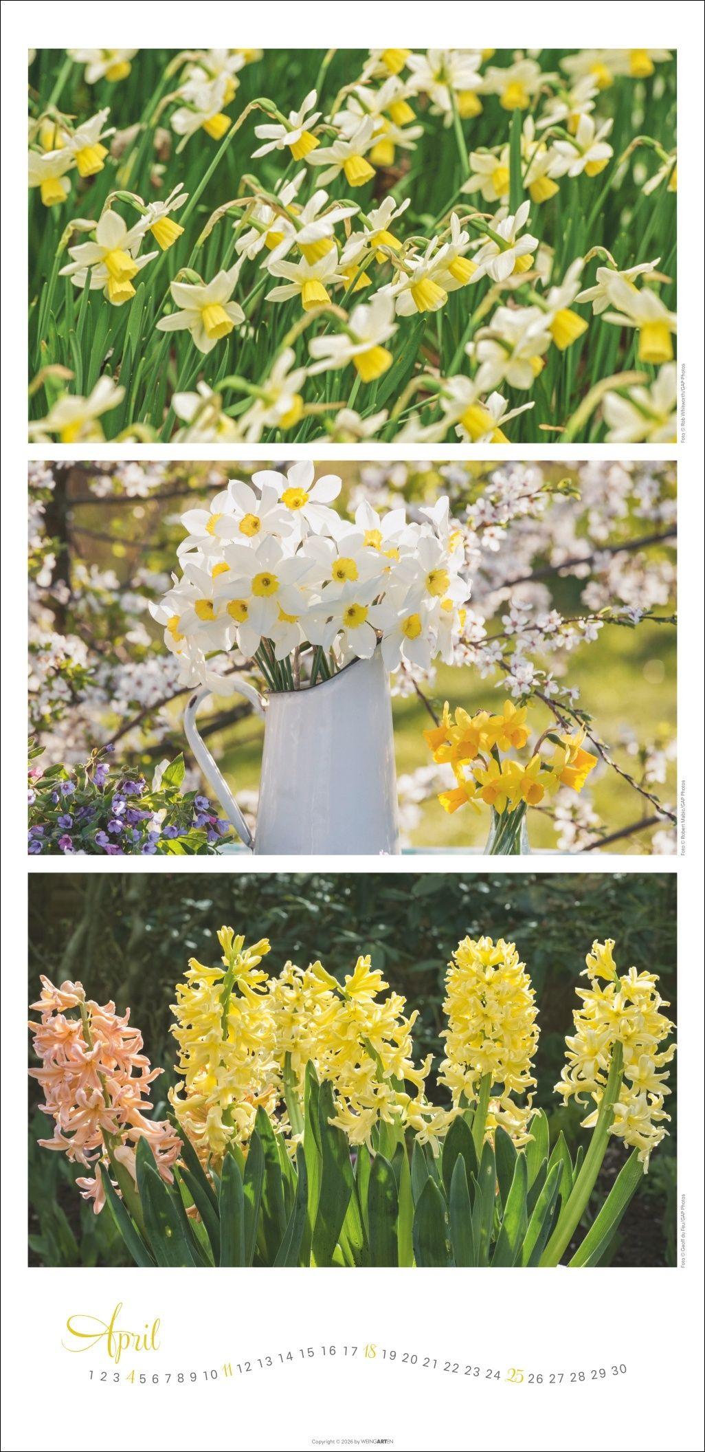 Beispielinhalt (Bild) Die Farben der Gärten Kalender 2027