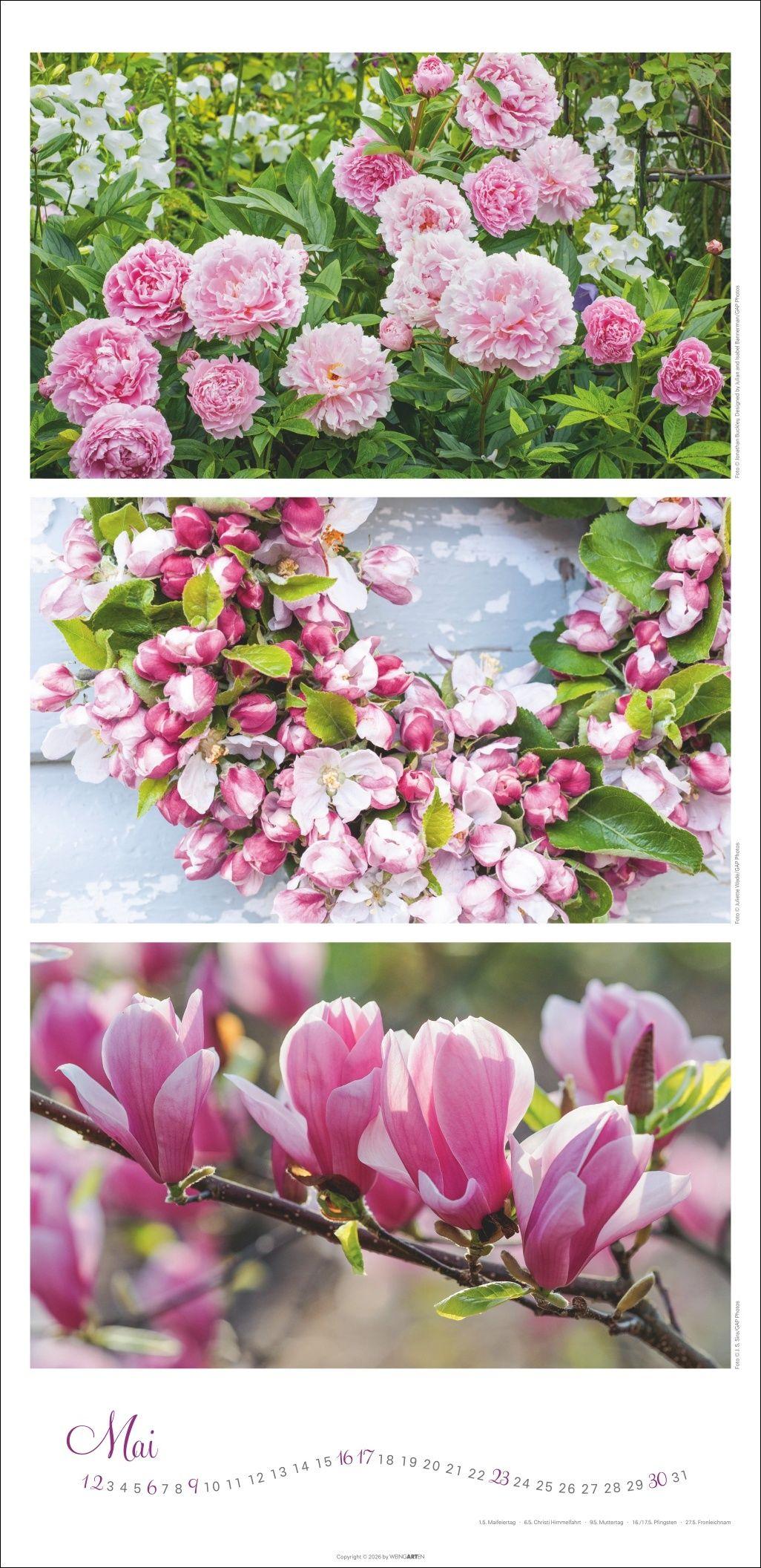 Beispielinhalt (Bild) Die Farben der Gärten Kalender 2027