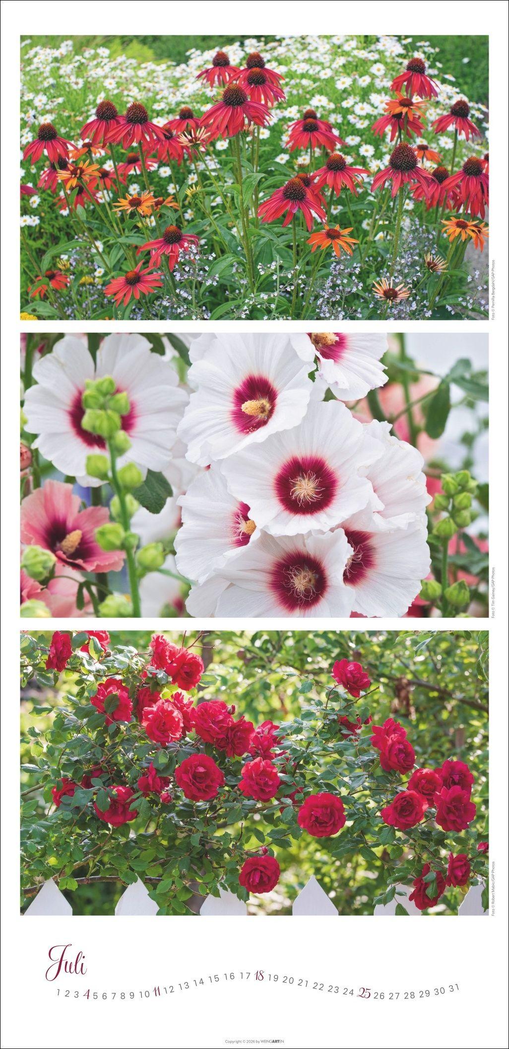 Beispielinhalt (Bild) Die Farben der Gärten Kalender 2027