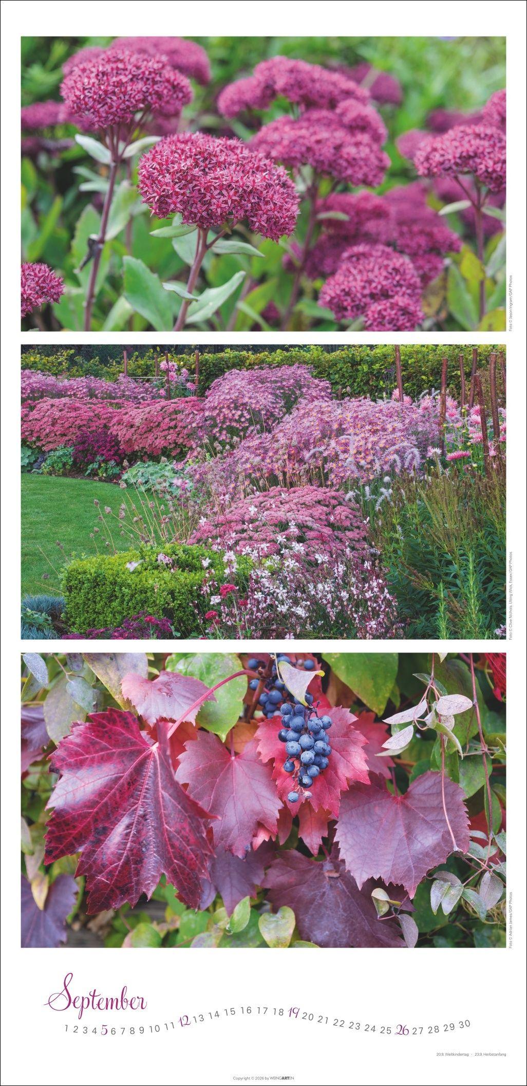 Beispielinhalt (Bild) Die Farben der Gärten Kalender 2027