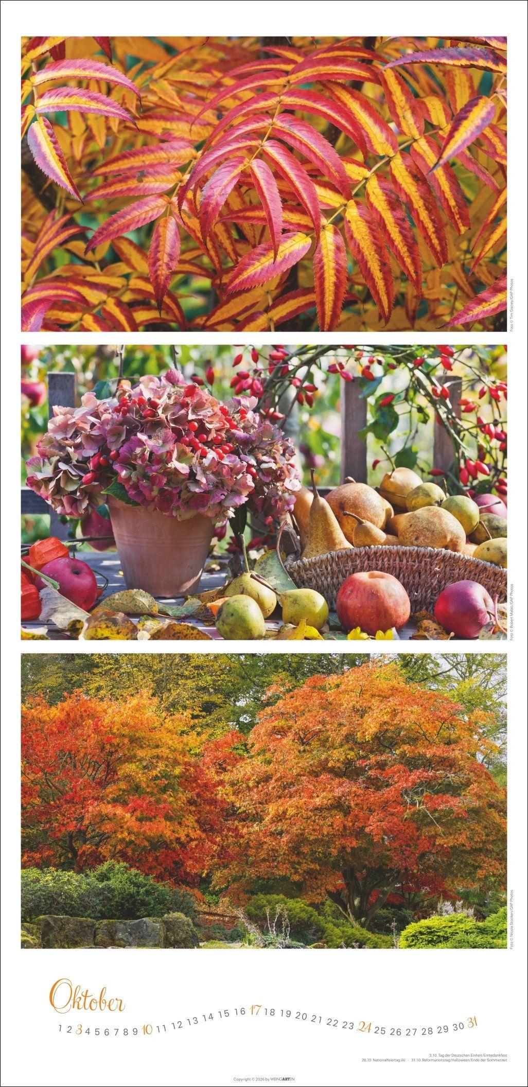 Beispielinhalt (Bild) Die Farben der Gärten Kalender 2027