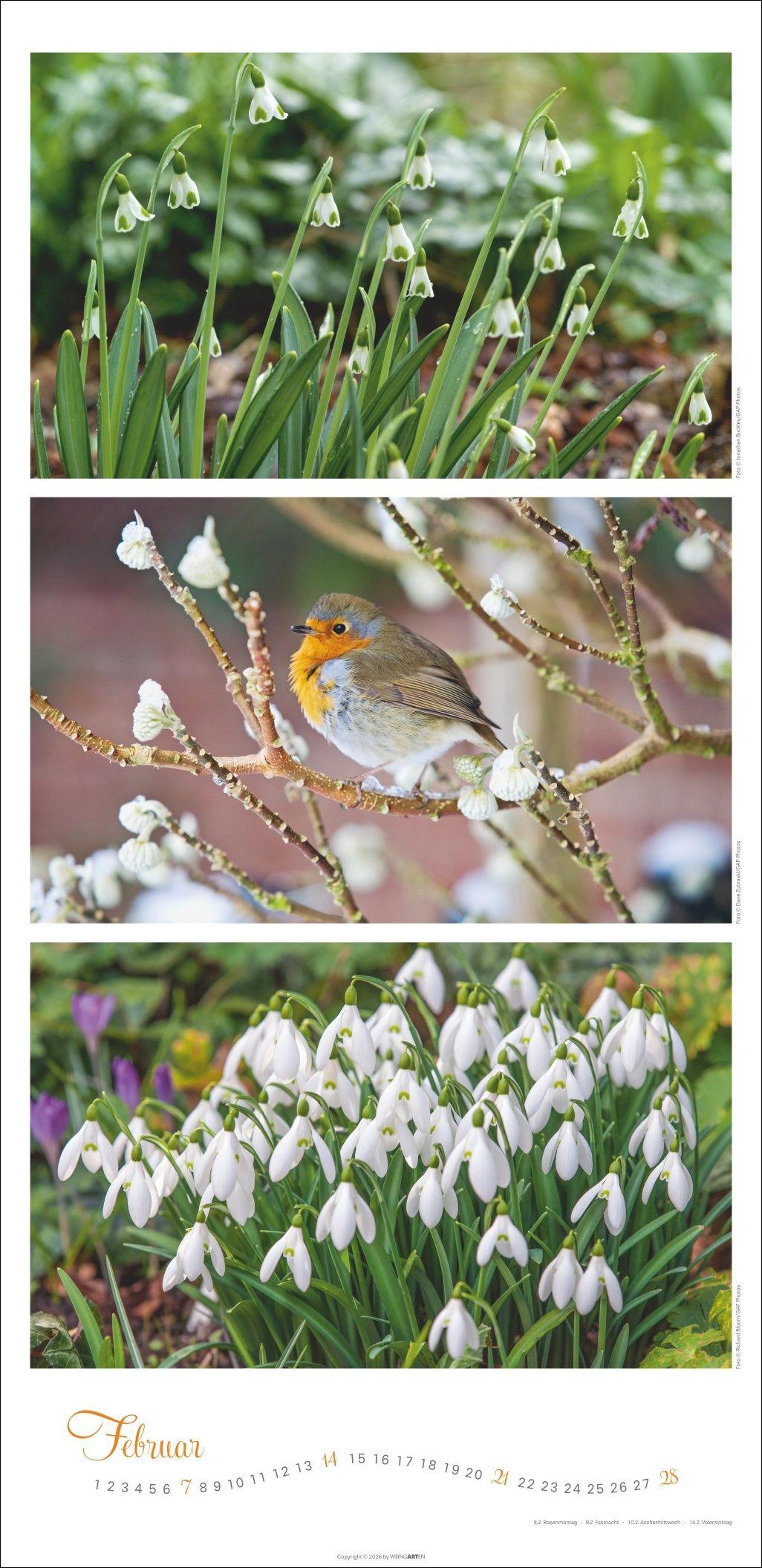 Beispielinhalt (Bild) Die Farben der Gärten Kalender 2027