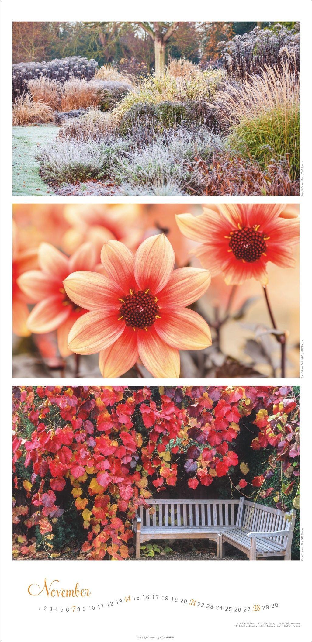 Beispielinhalt (Bild) Die Farben der Gärten Kalender 2027