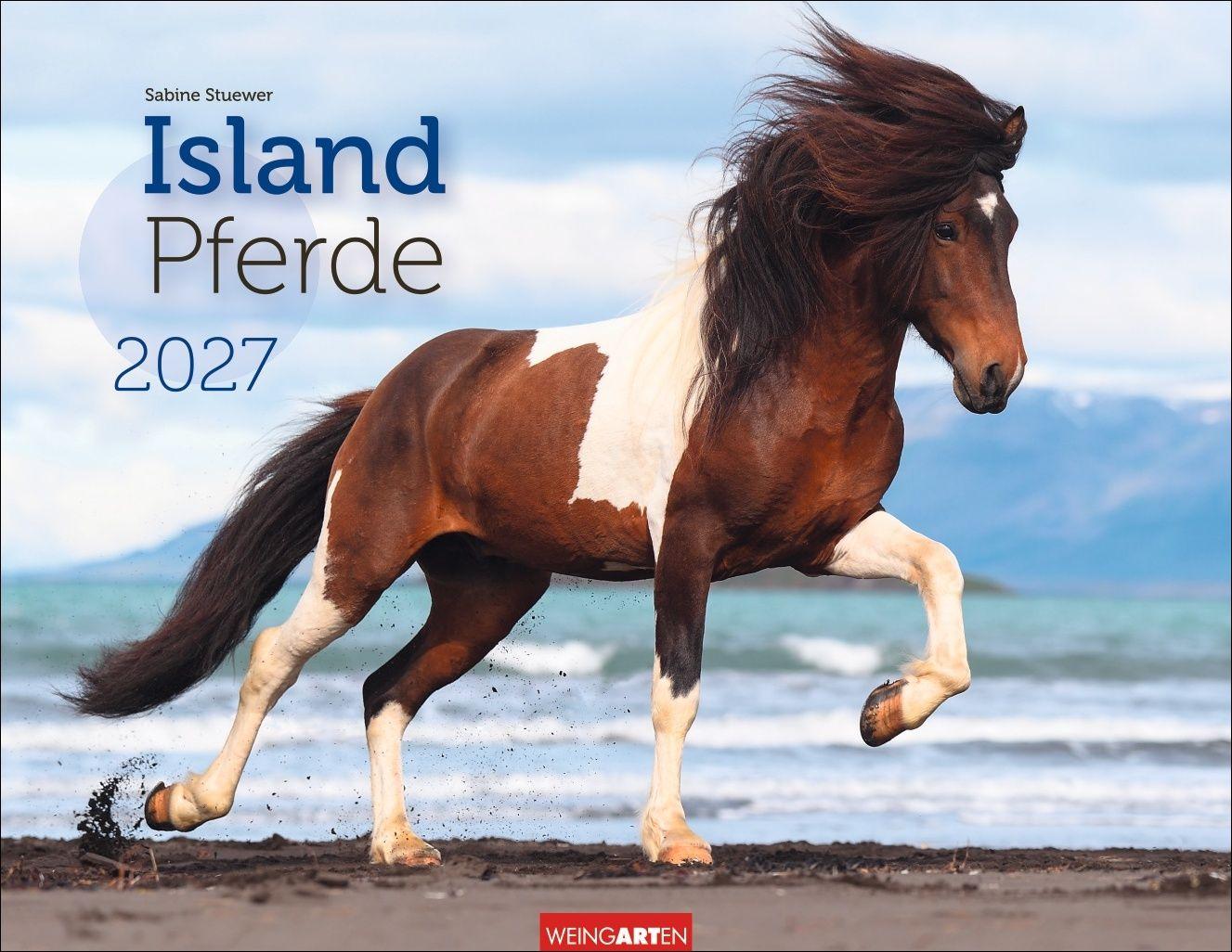 Vorderes Coverbild Islandpferde Kalender 2027