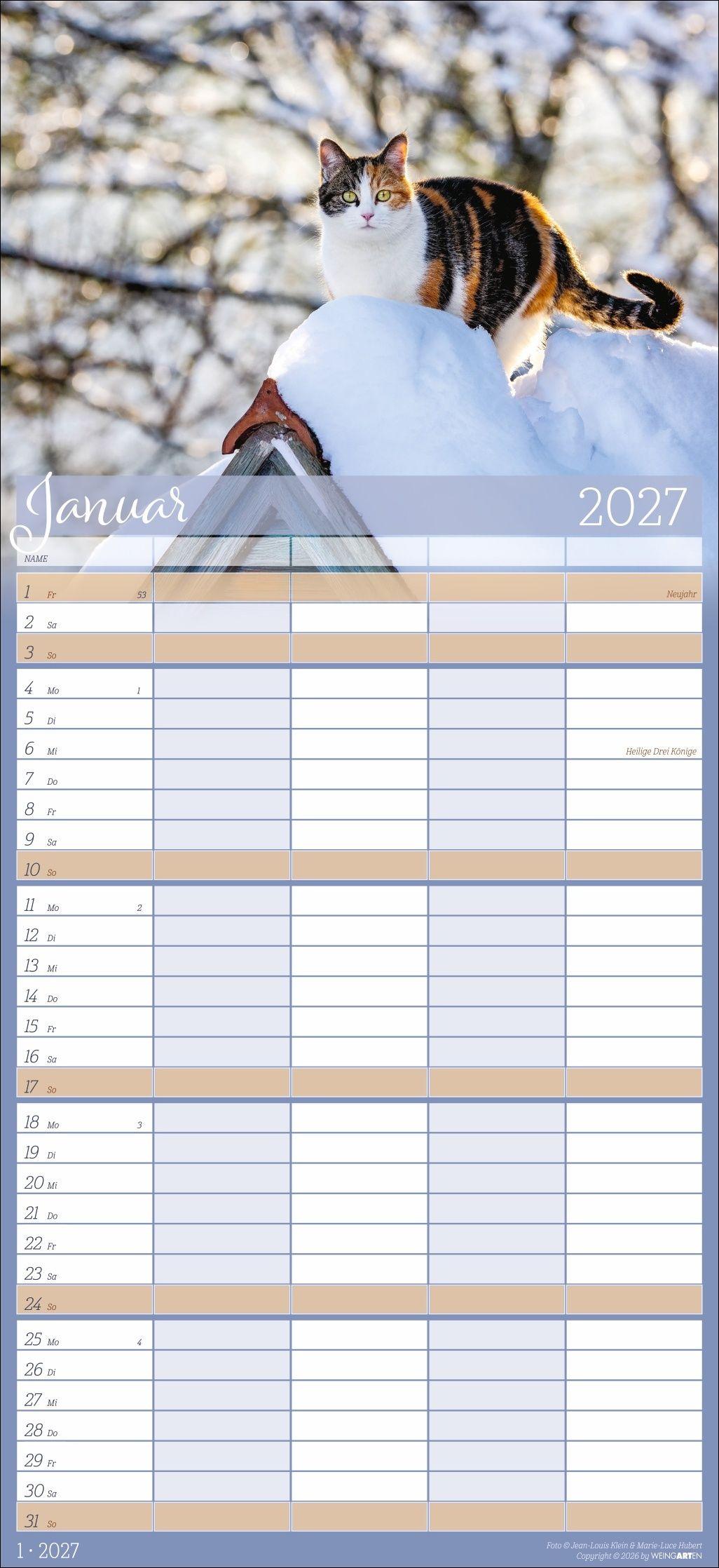 Beispielinhalt (Bild) Cool Cats Familienplaner 2027