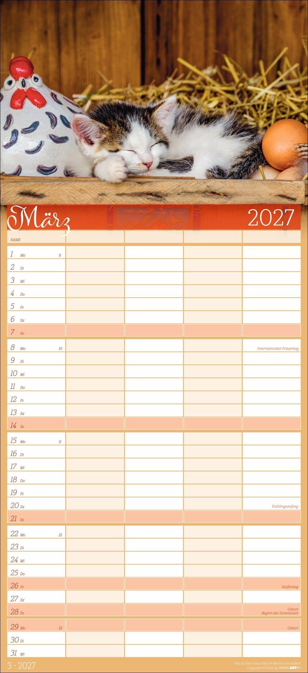 Beispielinhalt (Bild) Cool Cats Familienplaner 2027