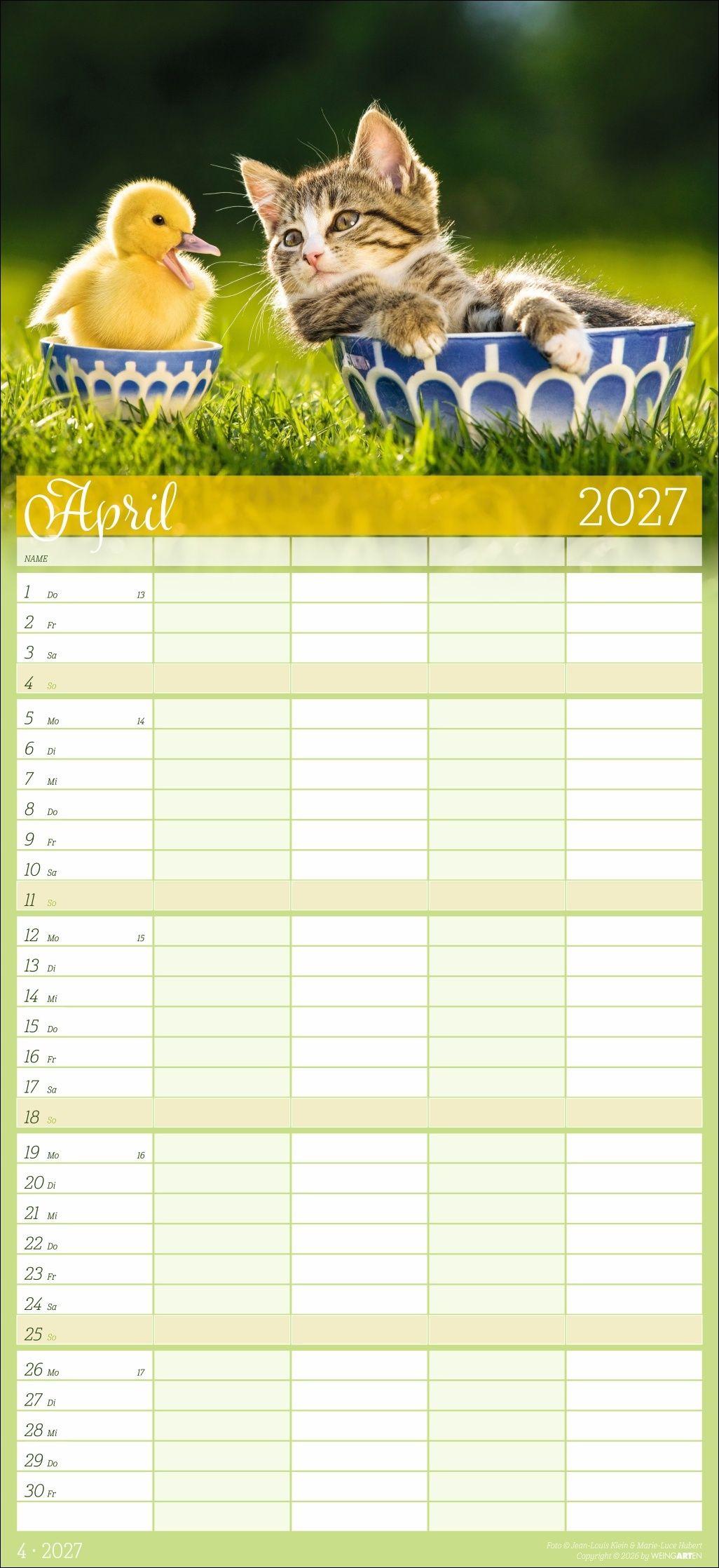 Beispielinhalt (Bild) Cool Cats Familienplaner 2027