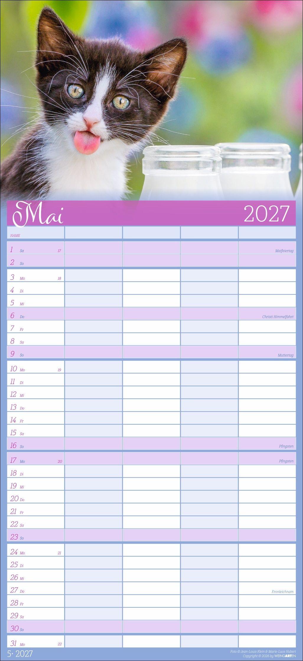 Beispielinhalt (Bild) Cool Cats Familienplaner 2027