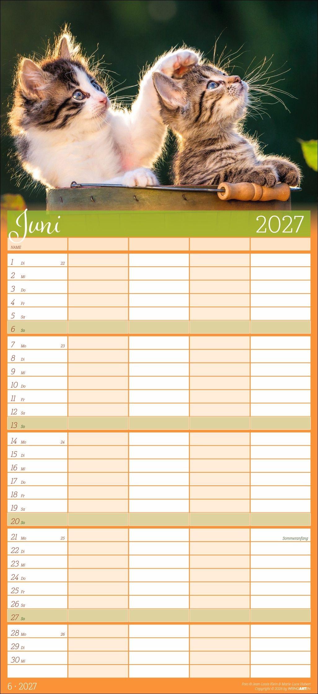 Beispielinhalt (Bild) Cool Cats Familienplaner 2027