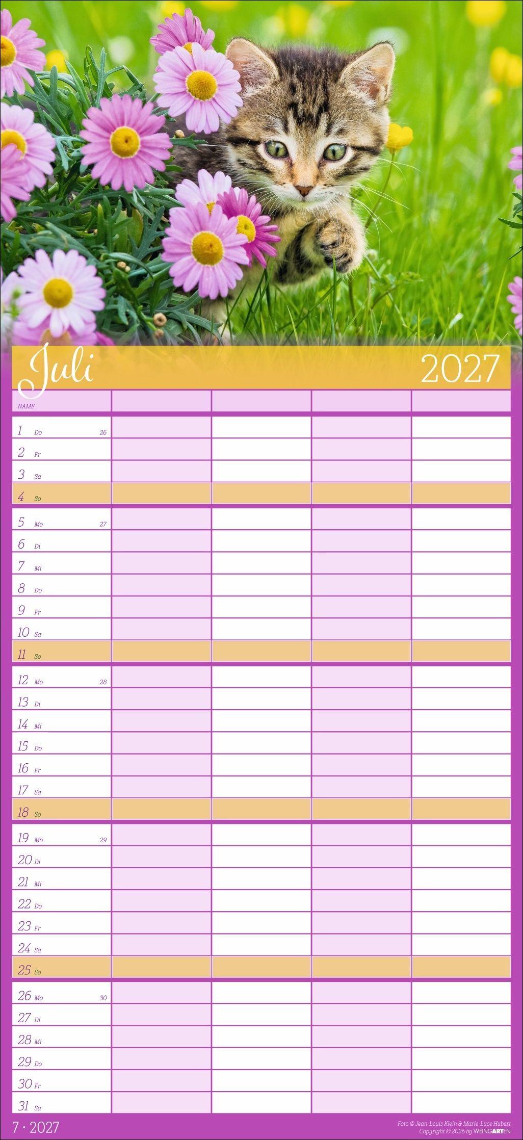 Beispielinhalt (Bild) Cool Cats Familienplaner 2027