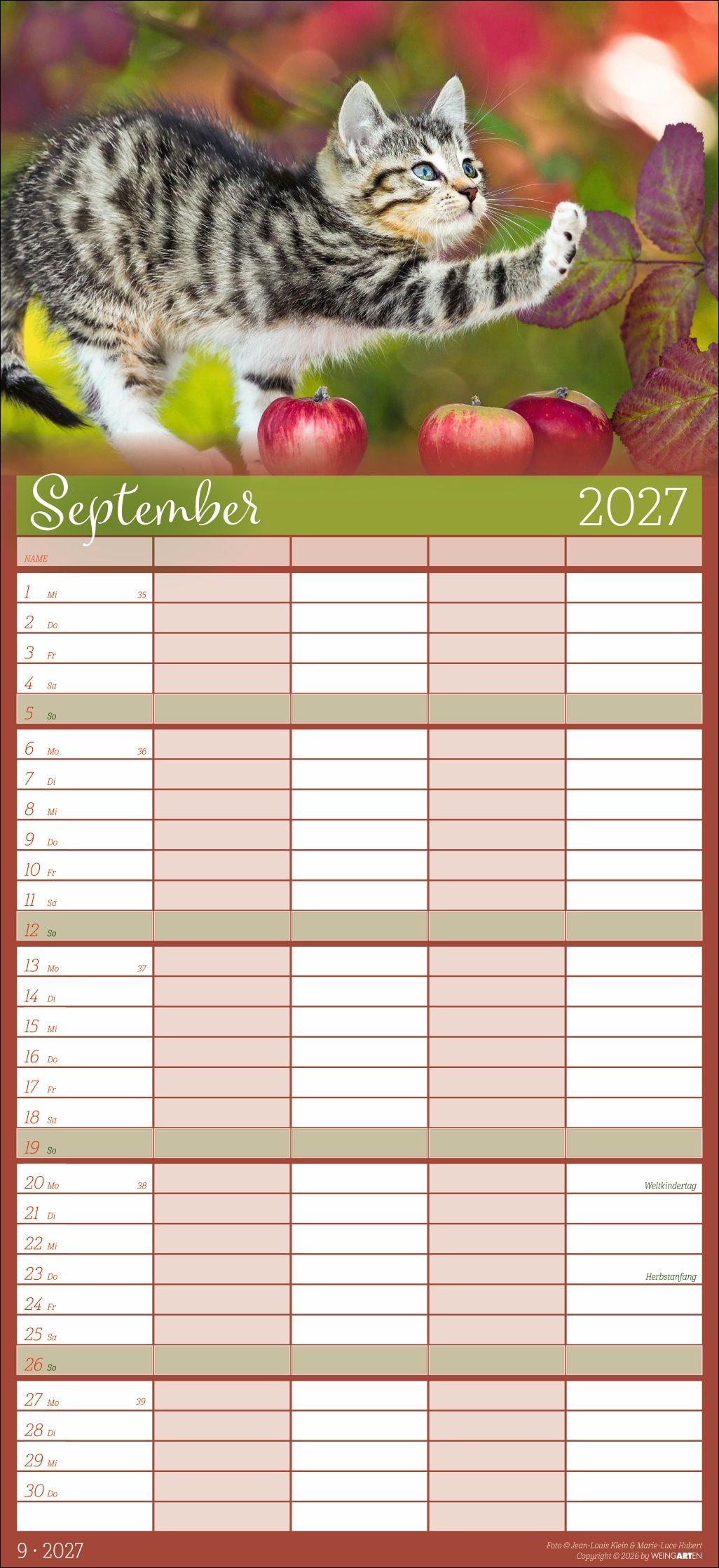 Beispielinhalt (Bild) Cool Cats Familienplaner 2027