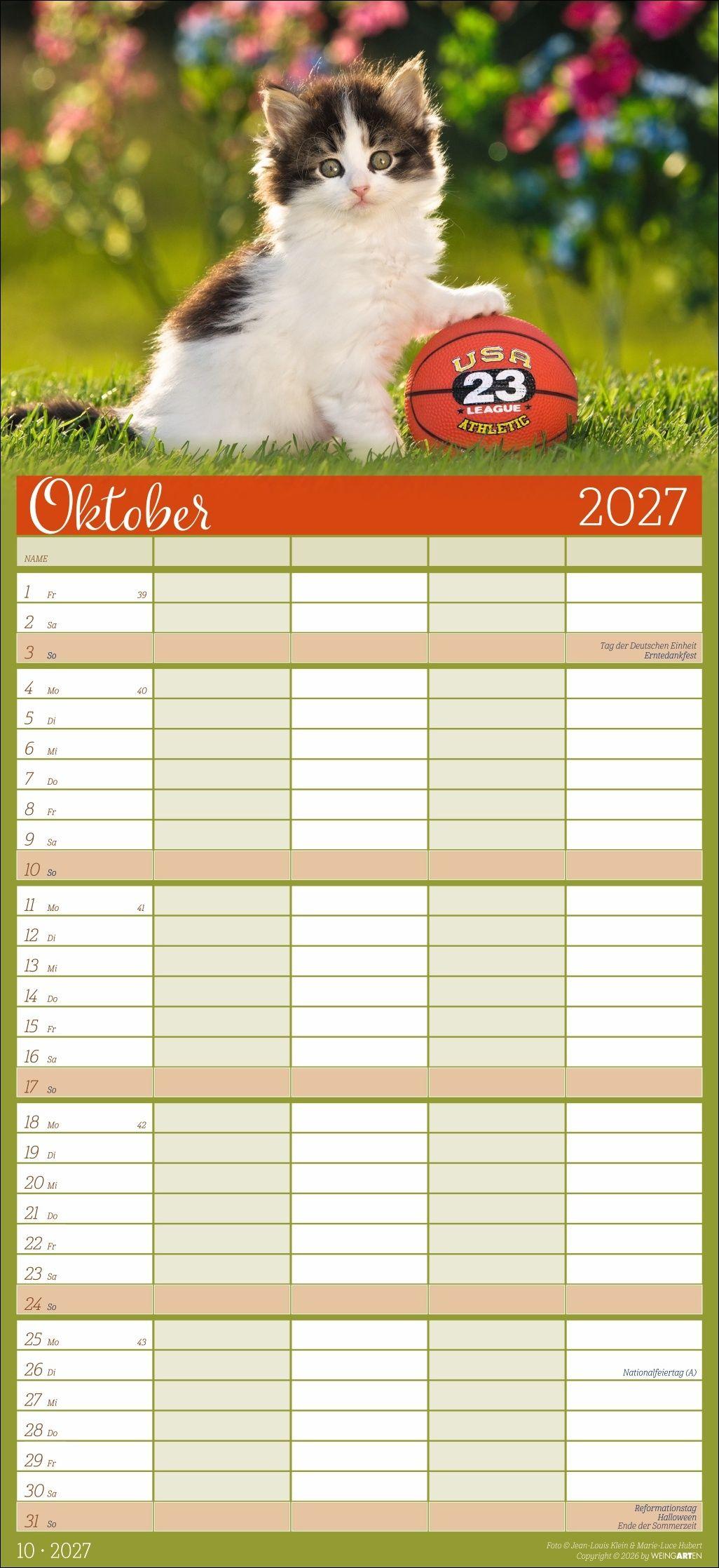 Beispielinhalt (Bild) Cool Cats Familienplaner 2027