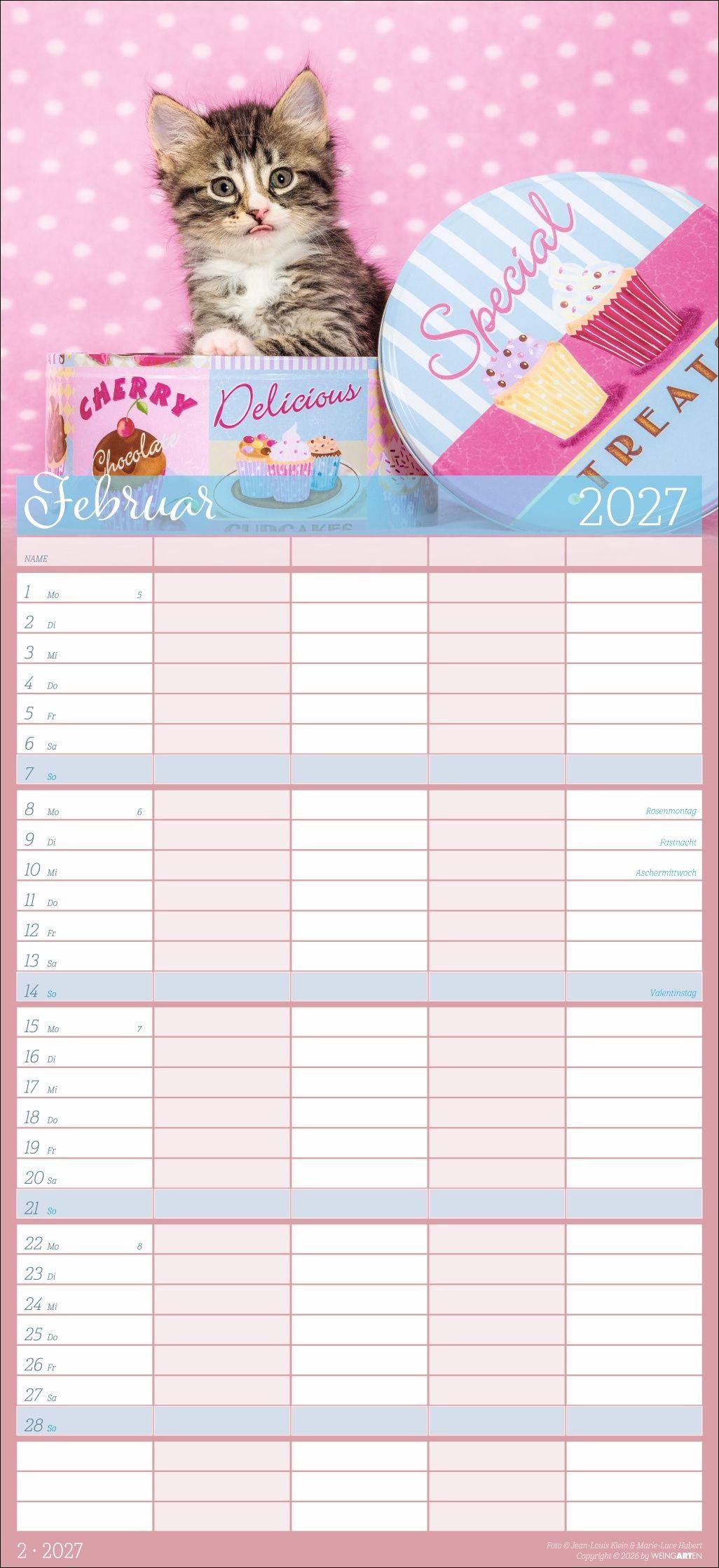 Beispielinhalt (Bild) Cool Cats Familienplaner 2027